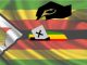 ZANU PF Candidate Declared Bikita Ward 13 Councillor After Rival Chickens Out Of Race ZANU PF Candidate Declared Bikita Ward 13 Councillor After Rival Chickens Out Of Race