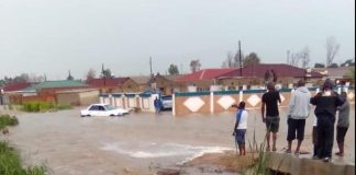 EMA Cracks Down On Illegal Developments On Wetlands EMA Cracks Down On Illegal Developments On Wetlands