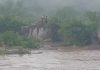 Air Force Helicopter Rescues Six Women Stranded On River In Mberengwa Air Force Helicopter Rescues Six Women Stranded On River In Mberengwa