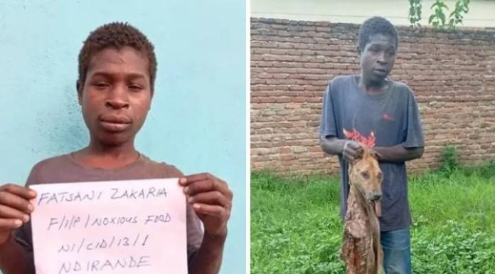 Man Arrested in Malawi for Alleged Dog Meat Sale Man Arrested in Malawi for Alleged Dog Meat Sale