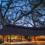 Chewore dispute tests Zim’s promise to investors Chewore dispute tests Zim’s promise to investors