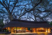 Chewore dispute tests Zim’s promise to investors Chewore dispute tests Zim’s promise to investors