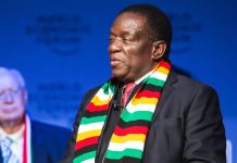 Ex-Zanu PF insider exposes 2028 election plot Ex-Zanu PF insider exposes 2028 election plot