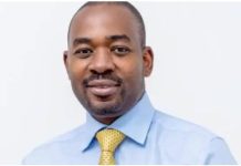 Chamisa come back raises stakes – The Zambian Observer Chamisa come back raises stakes - The Zambian Observer