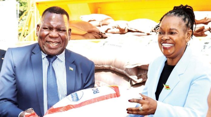 Zimbabwe donates to Malawi flood victims Zimbabwe donates to Malawi flood victims