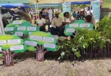 Zimbabwe Sounds Alarm on Rapid Wetland Loss Zimbabwe Sounds Alarm on Rapid Wetland Loss