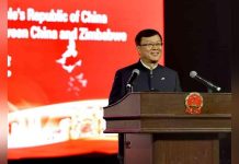 Chinese New Year Carnival Celebrates Enduring Friendship Chinese New Year Carnival Celebrates Enduring Friendship