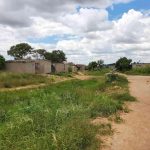 Harare emerges as climate-resilient testing ground Harare emerges as climate-resilient testing ground