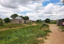 Harare emerges as climate-resilient testing ground Harare emerges as climate-resilient testing ground