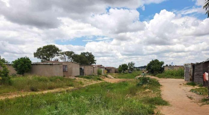 Harare emerges as climate-resilient testing ground Harare emerges as climate-resilient testing ground