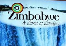 Register or shut down, ZTA warns tourism players Register or shut down, ZTA warns tourism players