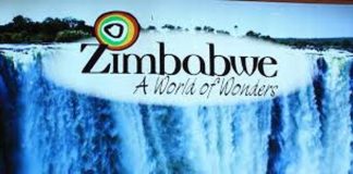 Register or shut down, ZTA warns tourism players Register or shut down, ZTA warns tourism players