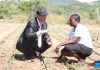 China-aided agric project transforms livelihoods China-aided agric project transforms livelihoods