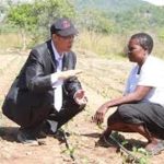 China-aided agric project transforms livelihoods China-aided agric project transforms livelihoods