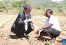 China-aided agric project transforms livelihoods China-aided agric project transforms livelihoods