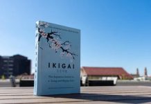 Ikigai, the quiet architecture of a significant life Ikigai, the quiet architecture of a significant life