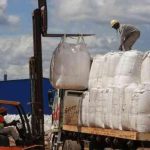 Zimbabwean government bans lithium exports Zimbabwean government bans lithium exports