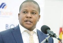 Zim govt bans lithium exports Zim govt bans lithium exports