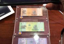 RBZ introduces new ZiG notes RBZ introduces new ZiG notes