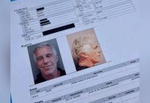 Epstein Files: 500 Terabytes of FBI Data Compromised Epstein Files: 500 Terabytes of FBI Data Compromised
