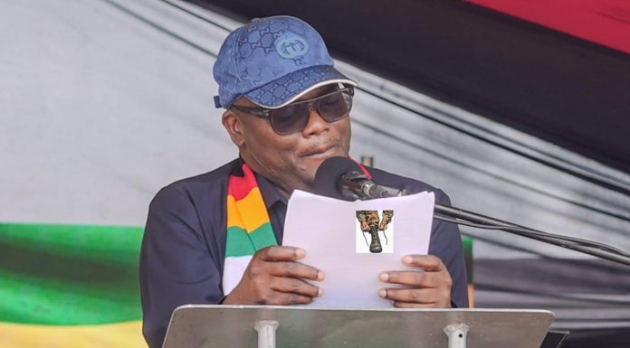 Tungwarara Co-opted Into ZANU PF Central Committee Tungwarara Co-opted Into ZANU PF Central Committee