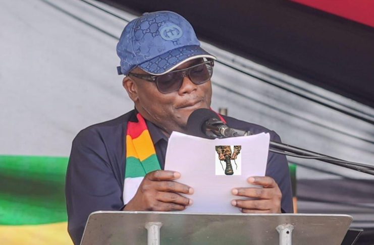 Tungwarara Co-opted Into ZANU PF Central Committee Tungwarara Co-opted Into ZANU PF Central Committee