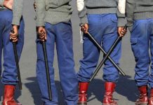 Gang of Six Robbers Masquerade as Cops in Buhera Gang of Six Robbers Masquerade as Cops in Buhera