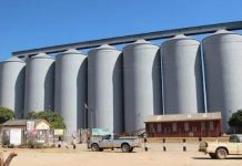 GMB Receives ZiG60 Million, US$5 Million To Pay Farmers GMB Receives ZiG60 Million, US$5 Million To Pay Farmers