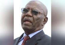 Let’s tap into Mutasa’s political experience: Chipanga Let’s tap into Mutasa’s political experience: Chipanga