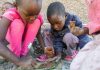 The death of childhood safety in Zim The death of childhood safety in Zim