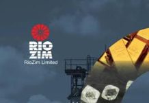 RioZim seeks US$39,4m to clear debt, revive operations RioZim seeks US$39,4m to clear debt, revive operations