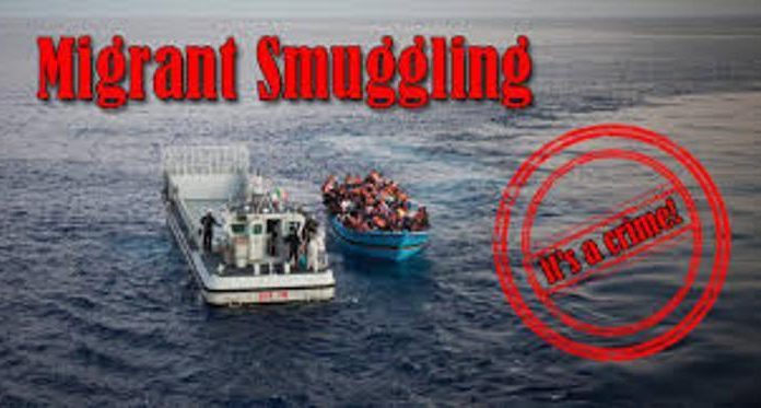 ‘Zim hub of migrant smuggling networks’ ‘Zim hub of migrant smuggling networks’