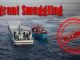 ‘Zim hub of migrant smuggling networks’ ‘Zim hub of migrant smuggling networks’