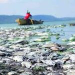 Harare appeals US$86K Lake Chivero pollution damages ruling Harare appeals US$86K Lake Chivero pollution damages ruling