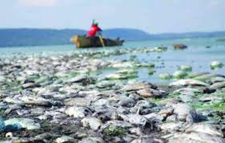 Harare appeals US$86K Lake Chivero pollution damages ruling Harare appeals US$86K Lake Chivero pollution damages ruling