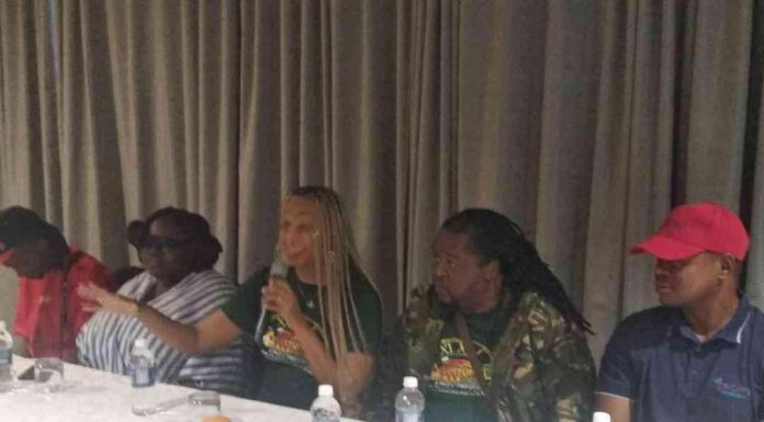 Alaine celebrates love, culture, unity in Harare debut Alaine celebrates love, culture, unity in Harare debut