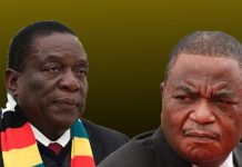 Zanu-PF Leaders Seek Term Extension to 2030 Zanu-PF Leaders Seek Term Extension to 2030