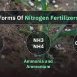 Nitrogen Imports Shift to Brazil After Hormuz Closure Nitrogen Imports Shift to Brazil After Hormuz Closure