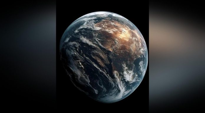 Scientists Claim Earth Is Intelligent With Fungal System Scientists Claim Earth Is Intelligent With Fungal System