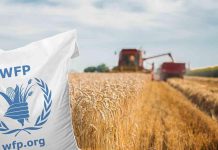 63K benefit from Russia–WFP food aid programme 63K benefit from Russia–WFP food aid programme
