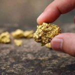 Zimbabwe gold output rises 8% to 9 tonnes in Q1 Zimbabwe gold output rises 8% to 9 tonnes in Q1