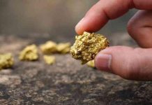Zimbabwe gold output rises 8% to 9 tonnes in Q1 Zimbabwe gold output rises 8% to 9 tonnes in Q1