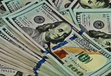 Zim Courts Global Partners for US$2.5bn Financing Zim Courts Global Partners for US$2.5bn Financing