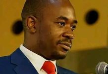 Chamisa Blasts Zimbabwe at 46 Promise Betrayed Chamisa Blasts Zimbabwe at 46 Promise Betrayed