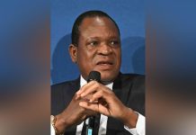 Maize Output Rises to 2.35M Tonnes for Food Security Maize Output Rises to 2.35M Tonnes for Food Security