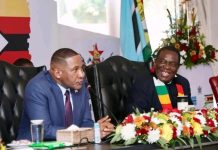 Zimbabweans Can Enter Botswana With IDs Zimbabweans Can Enter Botswana With IDs