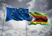 EU, Germany back Zimbabwe’s US$2.37bn aquaculture drive EU, Germany back Zimbabwe’s US$2.37bn aquaculture drive