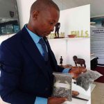 Zim, SA councils showcase cross-border model at trade fair Zim, SA councils showcase cross-border model at trade fair