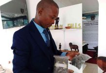 Zim, SA councils showcase cross-border model at trade fair Zim, SA councils showcase cross-border model at trade fair