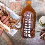 The bitter truth behind ‘guchu’ craze The bitter truth behind ‘guchu’ craze